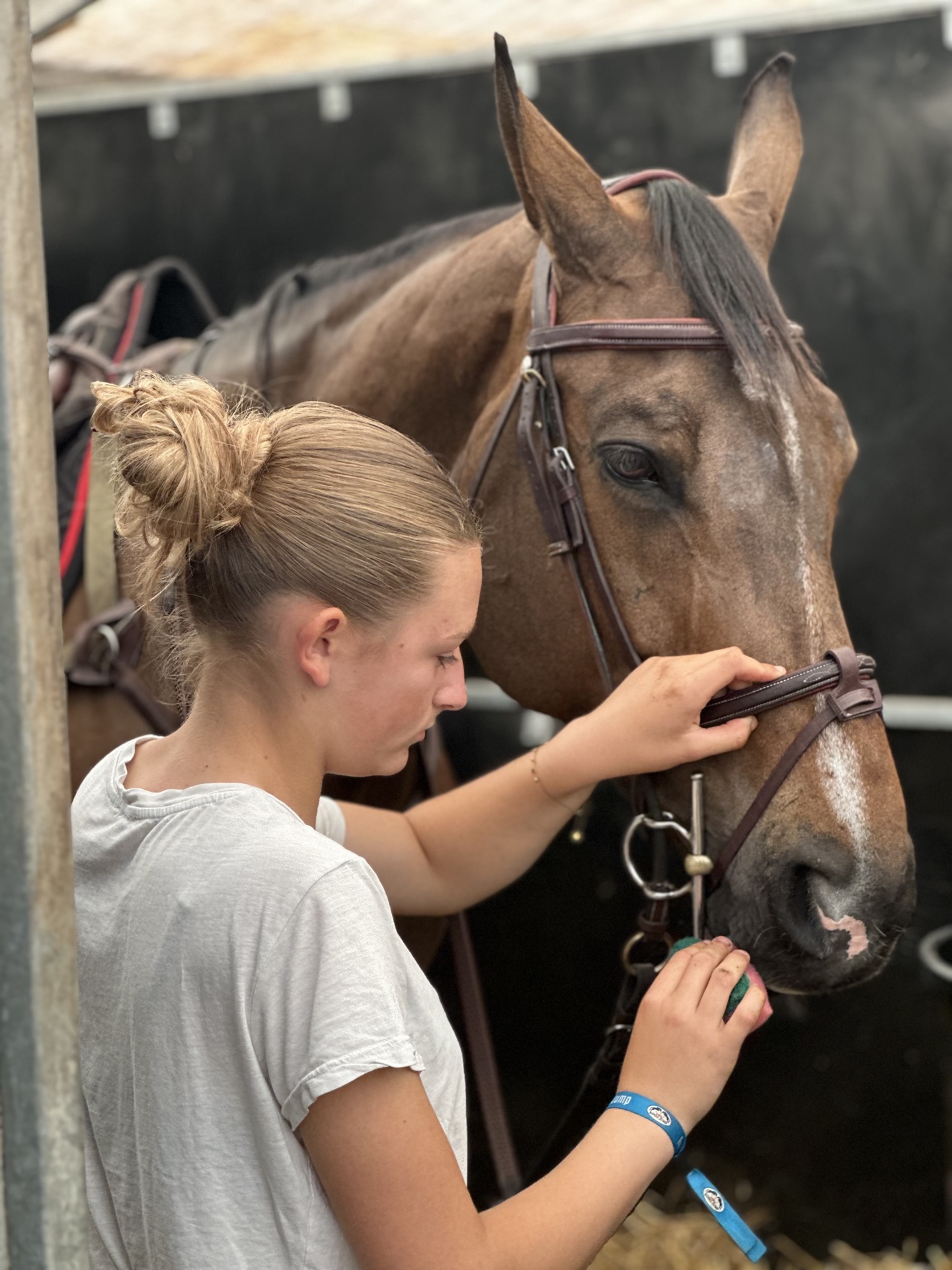 Jeune cavalière qui prépare son cheval