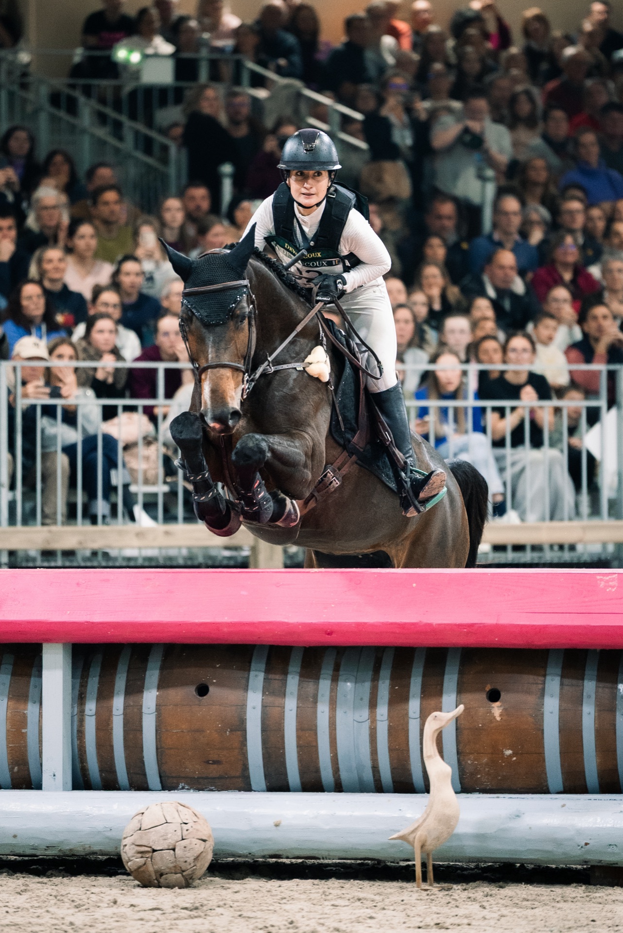 Saut d'obstacles en salle devant le public